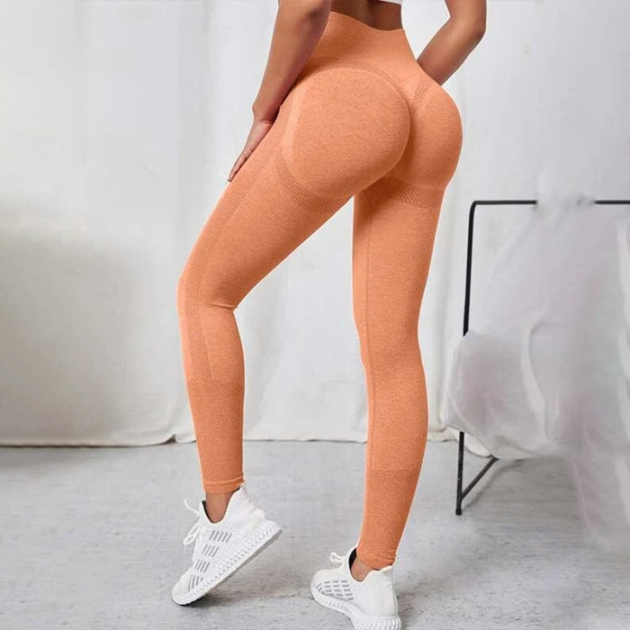 Division 2 Legging