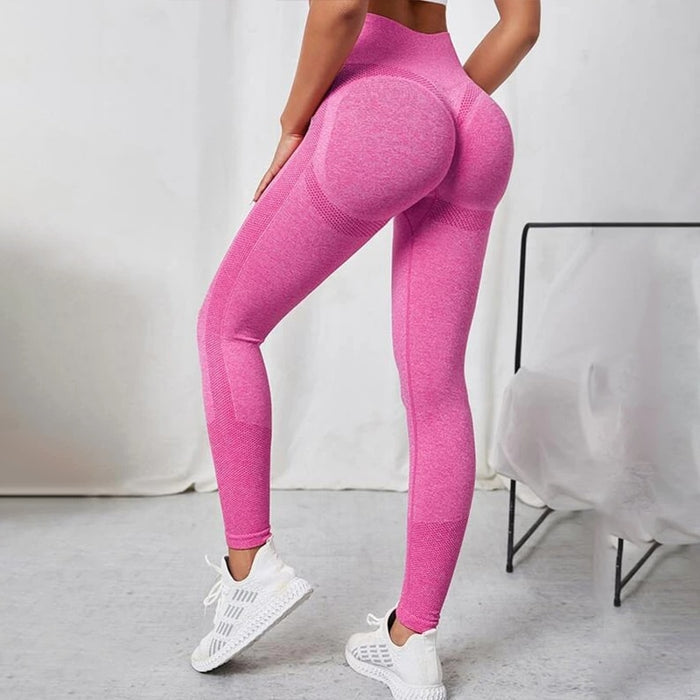Division 2 Legging