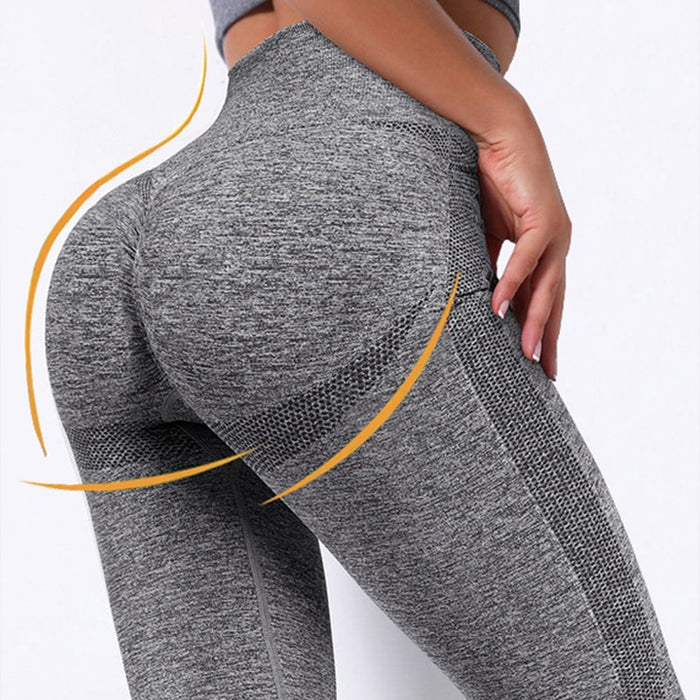 Division 2 Legging