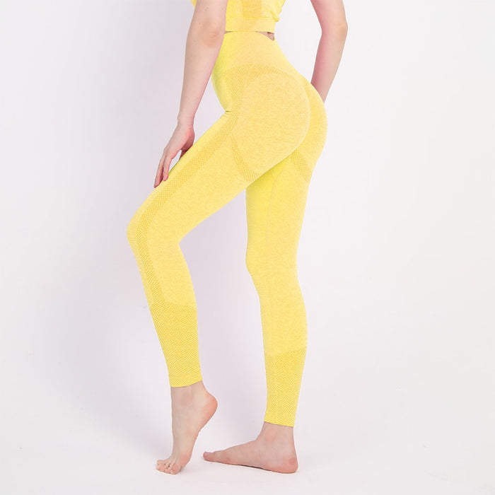 Division 2 Legging