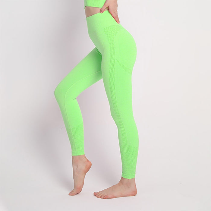 Division 2 Legging