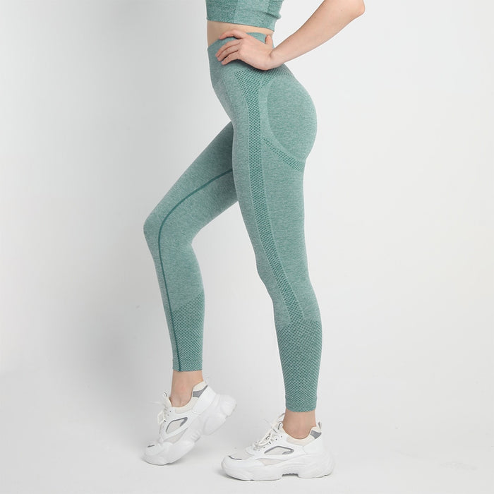 Division 2 Legging