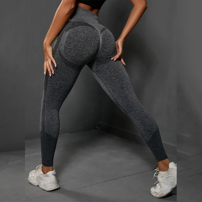 Division 2 Legging